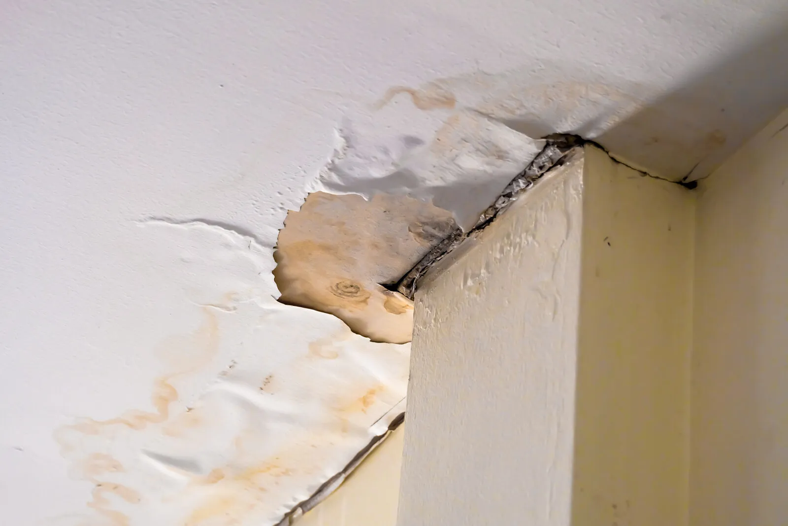 Storm Damage Restoration in Menifee
