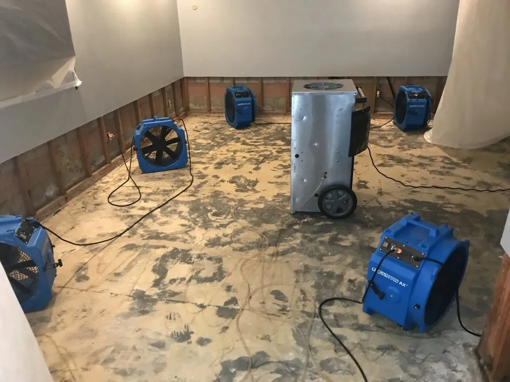 Water Damage Restoration in Menifee
